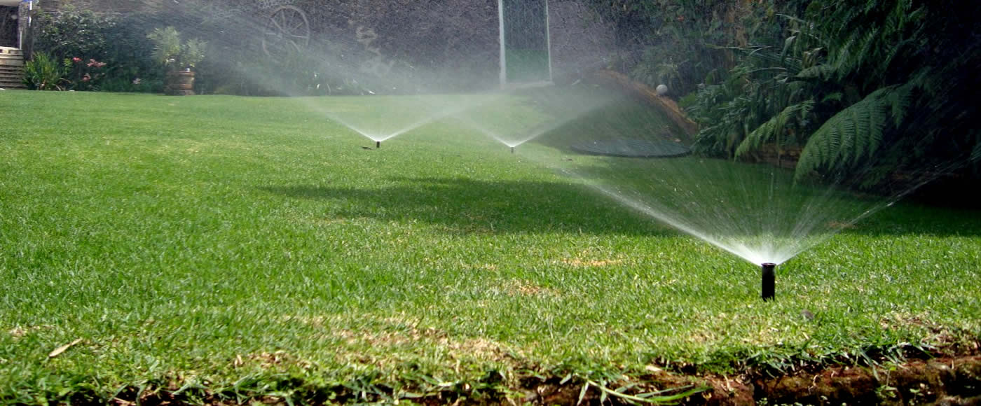 lorem ipsum dolor sit