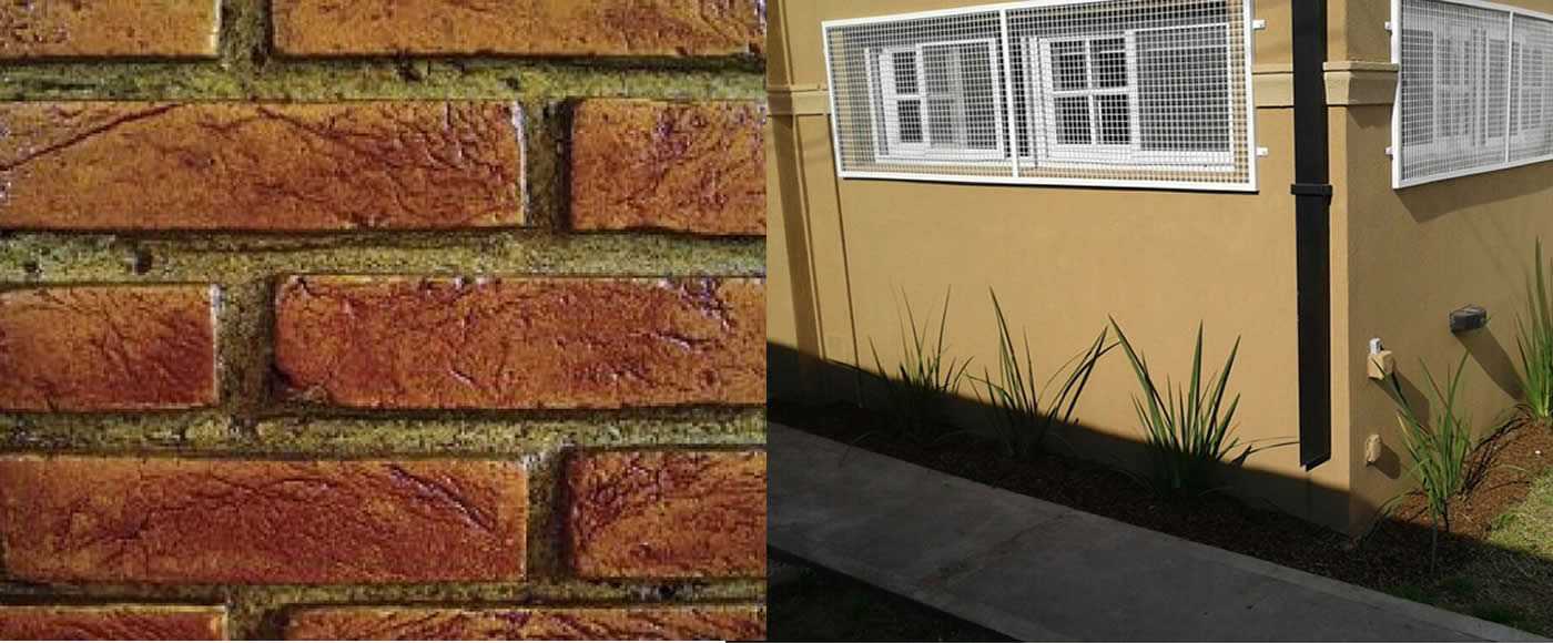 lorem ipsum dolor sit